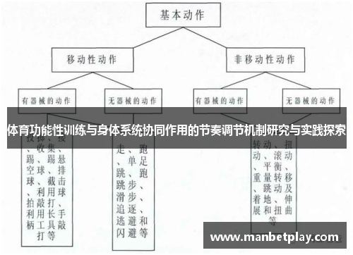 体育功能性训练与身体系统协同作用的节奏调节机制研究与实践探索